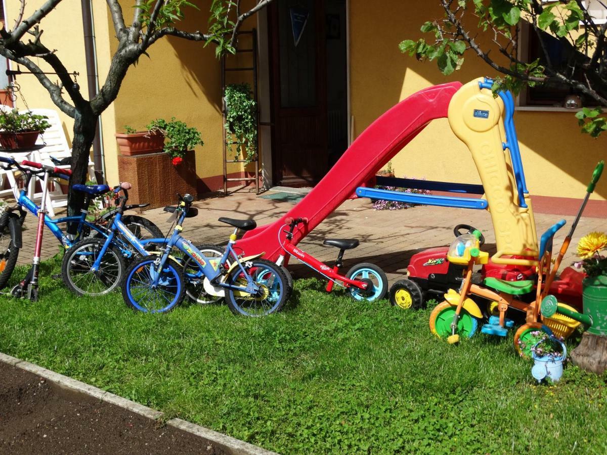 Il Nido Del Merlo Parcheggio E Giardino Verbania Exteriér fotografie